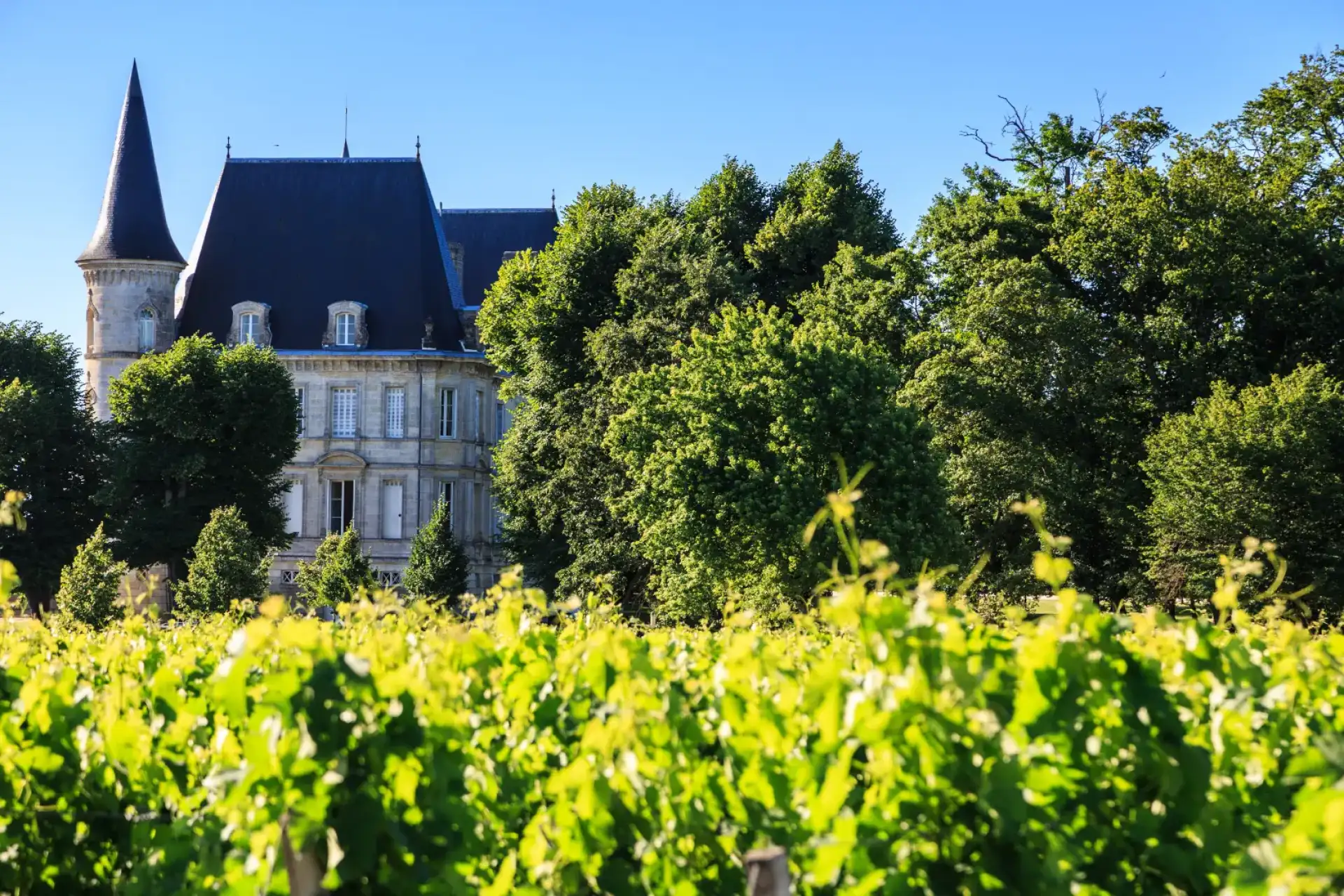 Château Pichon Baron