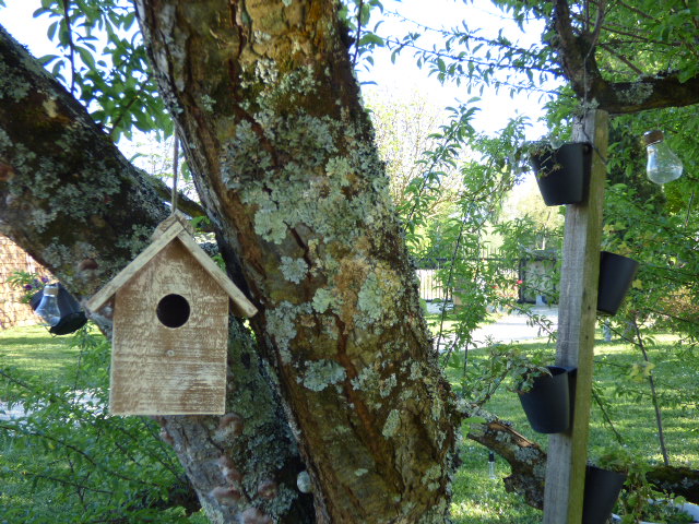 La cabane des oiseaux au Coeur des Vignes Pauillac