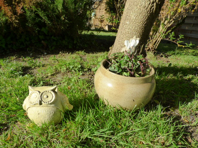 Hibou au Coeur des Vignes Pauillac
