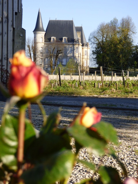 Vue du jardin sur le Château Pichon Baron
